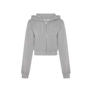 Trapstar TS-Star Silver Satin Applique Hoodie Kapşonlu Kadın Gri Türkiye | TZ81-922